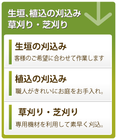 日本テレビスッキリ