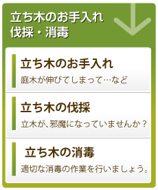 日本テレビスッキリ