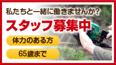 スタッフ募集